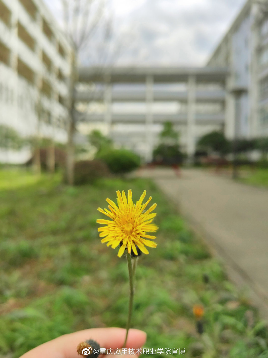 学校风景