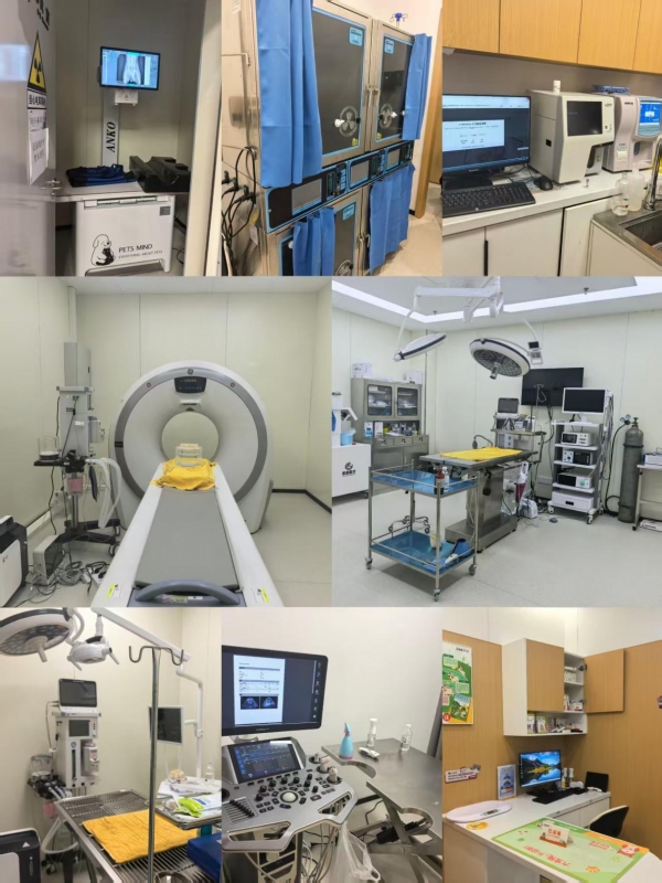 【二级学院动态】健康产业学院宠物医疗技术专业赴初心宠物医院开展调研