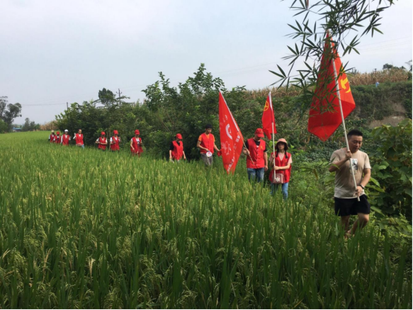 【2022暑期“三下乡”系列报道】乡村振兴在进行，时代青年在助农——学院实践团赴合川区梳铺村开展助农、网络设备教学等活动 